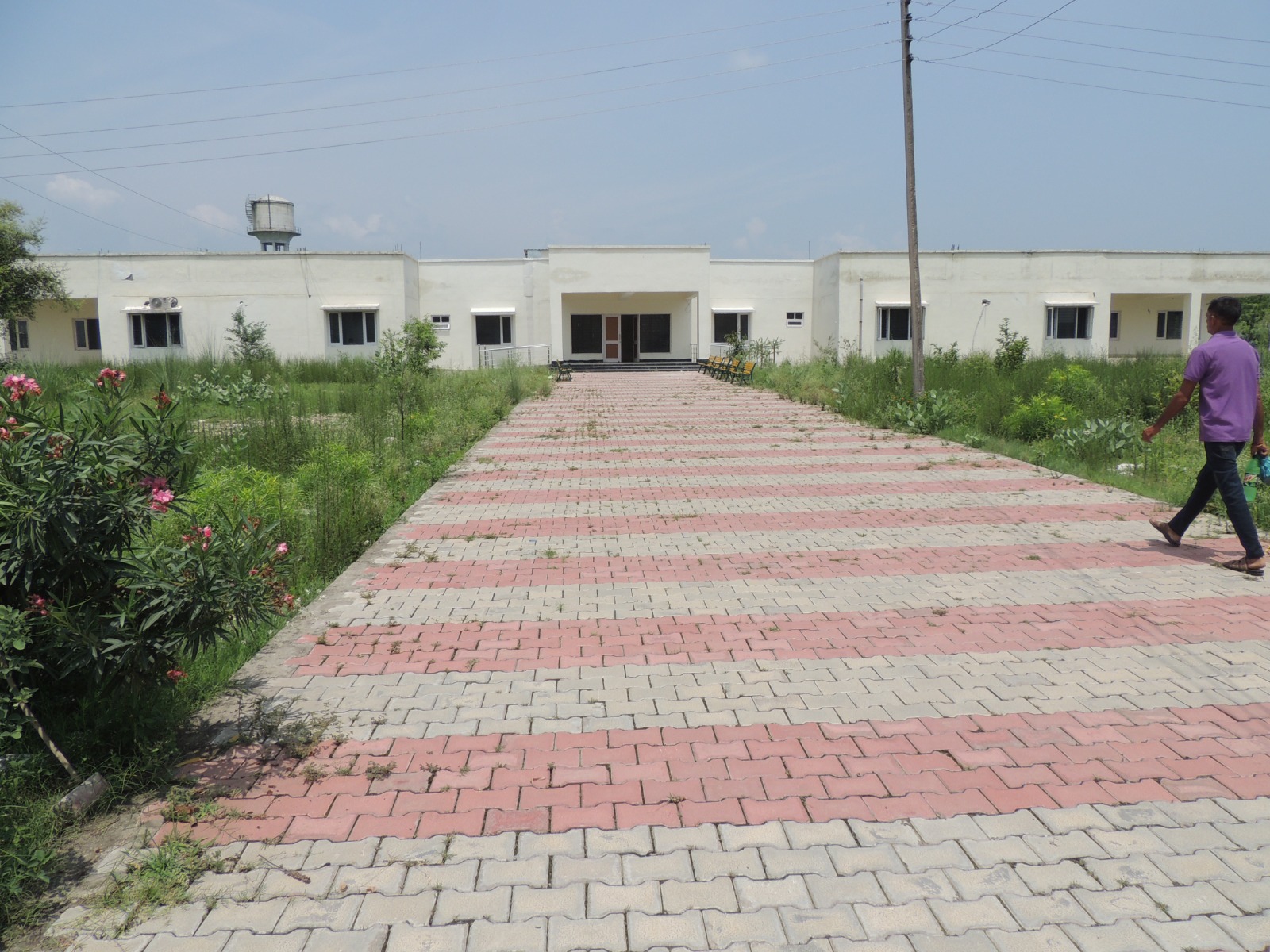 Research Hub